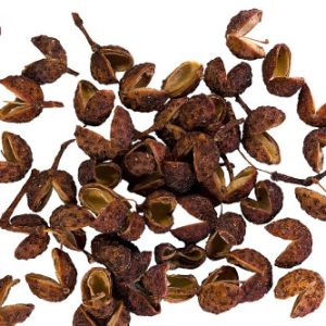Poivrier du sichuan