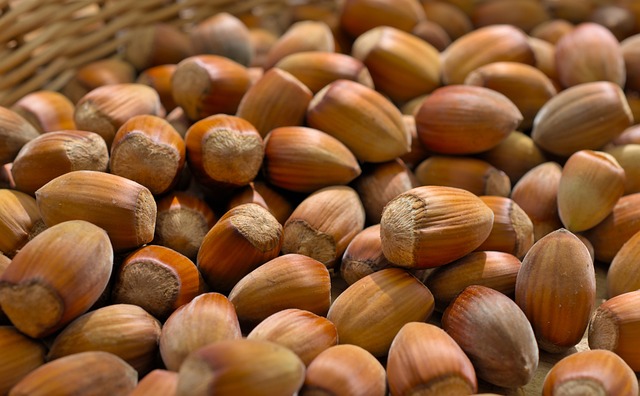 hazelnuts-6632213_640